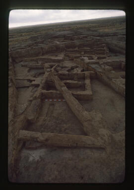 <N_LPA4-51>  Songor B Remain IIII-14