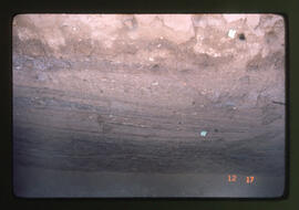 <N_LPA4-51>  Songor B Remain IIII-14