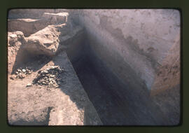 <N_LPA4-51>  Songor B Remain IIII-14