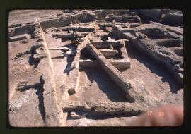 <N_LPA4-51>  Songor B Remain IIII-14