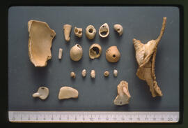 <N_LPB2-19> [Isin-Larsa Period: Early Second Millennium B.C.] Shell objects
