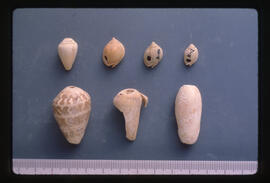 <N_LPB2-19> [Isin-Larsa Period: Early Second Millennium B.C.] Shell objects