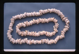 <N_LPB2-19> [Isin-Larsa Period: Early Second Millennium B.C.] Shell Rings